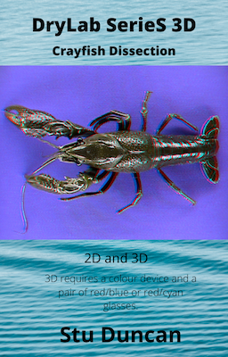 crayfishcover.png